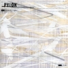 Pylon - The Standard Fight 2xCD