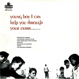 Crash - Young Boy I Can Help You Through Your Exams 10"